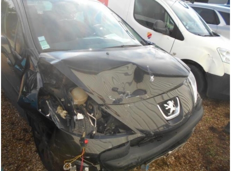 Vehicule-PEUGEOT-207-PHASE-1-1-4-2009-f098861e4fc5be8127f99e9561e3ebbd4f9e2422b6f70ae607dce4b230744d9b_mtn.JPG