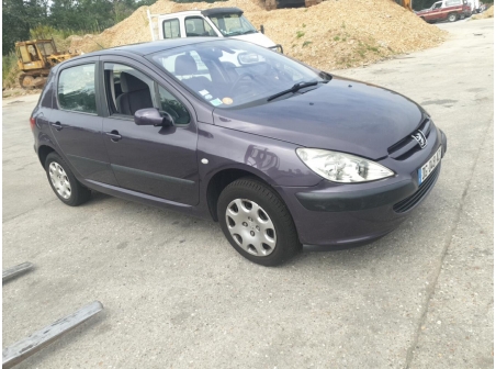 Vehicule-PEUGEOT-307-PHASE-1-2002-460ec977de622023e23617d9472d6b7bdfe7fa350f8f961b6d794f8c64299df2.jpg
