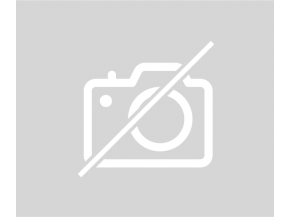 Piece--5ddafffa736dbba4a808154a28d64fe14925fbfcc8490a12a0fd6012568350f2.JPG 2