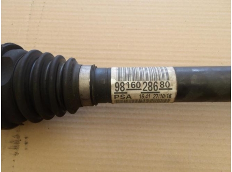 88422306-734cc87f-a40a-4300-aff8-a46ba5c6d6c6-Piece-210c18a2e14013b5b5edbe92f360ddd5d884a2723f87aad08a25e058074d275a_m.JPG