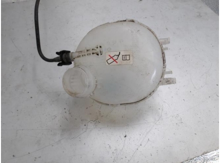 105212570-dcb1cfa4-c512-413a-bcbb-266f0603e560-Piece-Vase-dexpansion-PEUGEOT-193e6bac4e9bf2edd132d53b98cbcc7be6a9511153938ec682a8dc7aa2177e15_m.JPG