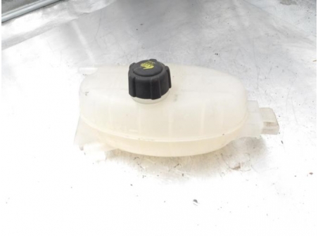106468456-f1de7e1f-d93f-496d-a8dc-341d99c4f196-Piece-Vase-dexpansion-RENAULT-f855655955670483f37552200ad06f311ec4d2bf752146ae5e2a4e21e10f7bf7_m.JPG