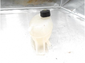 106468456-f1de7e1f-d93f-496d-a8dc-341d99c4f196-Piece-Vase-dexpansion-RENAULT-f855655955670483f37552200ad06f311ec4d2bf752146ae5e2a4e21e10f7bf7_m.JPG 2