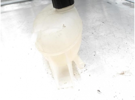 106468456-e4a9b0e2-e870-4e38-96f1-f9c872c7f6eb-Piece-Vase-dexpansion-RENAULT-b12e1c6783777611ed5f3cce967d475db4ac92fd3abf7560576bf8596cde3b40_m.JPG