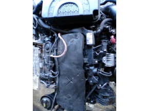 117591547-a5be22ab-c8f0-42fa-bc94-855573edfcb1-Piece-MINI-0d1f8fdf88db98e661bb1148390583c3fd65f48a1084b07ece56ed67e8036af4_m.JPG 2