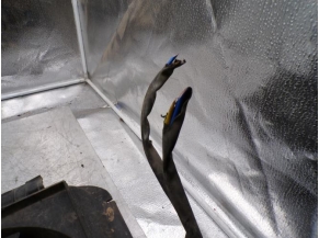 116164129-796d5543-11f8-4632-9771-8a15a859b17a-Piece-PEUGEOT-78ec9a8281f8d00ad1378eb2727ba3e4df860cc8de1937890777b7f2402d691d_m.JPG 2