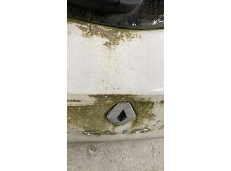 115090342-478d864c-3b6f-48a1-84d0-5f8beea247be-Hayon-arriere-7751478020-RENAULT-CLIO-3-PHASE-2-3f5e67046a38d11814bb0df5f2c6f6cf63d93ae512188ebef28b1f49f480803f_m.jpg