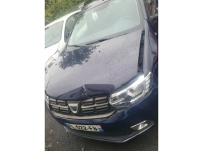 Vehicule-DACIA-SANDERO%202%20PHASE%202-2019-44f660ffa06b2963d0e51ed77deefd7357a05d97f925d0373508d6a70d04de86_o.jpg