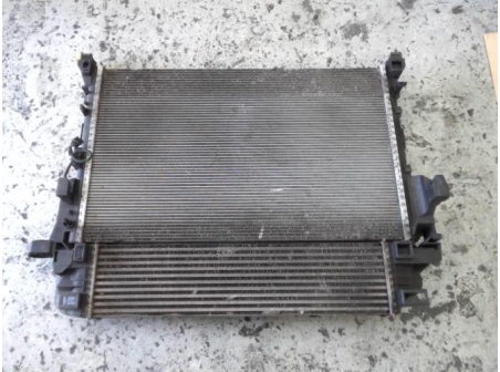 117324807-1f33e0dd-5a0a-48ce-9cdf-698742d8ba87-Piece-117324807-Radiateur-eau-214104966R-RENAULT-TRAFIC-3-COURT-PHASE-1-16-DCI-16V-TURBO-24e9f04fee94e8afedec3334f6b28a053de3591cda391caa7bb3973f3794cc93_m.jpg
