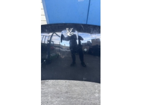 120542823-014143b2-760b-44e6-a830-5db648b471dd-Piece-Capot-9802163180-PEUGEOT-f75de20af846156c4d945bb112e7a095ad789e4399e51d796487f5f865be14ef_m.jpg 2