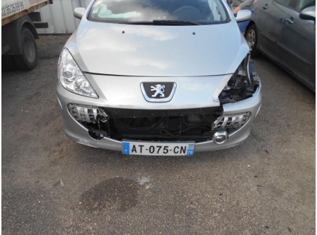 Vehicule-PEUGEOT-307-2-2005-e732df5b02919df655c30b34b1c60685faa67ff0adb734670a541b98da6d3d1f.JPG