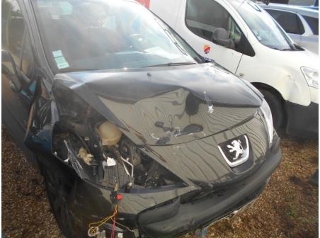 Vehicule-PEUGEOT-207-PHASE-1-1-4-2009-f098861e4fc5be8127f99e9561e3ebbd4f9e2422b6f70ae607dce4b230744d9b.JPG