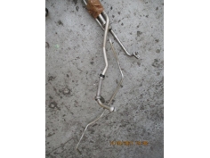 Piece--f91acf71cf41c5eca3bfd05bdf6842c788440f752ac9d556ad7147211f760e1b.JPG 2